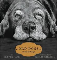 Book Old Dogs are the best dogs