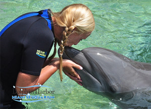 Dolphin Habor 2012 with me