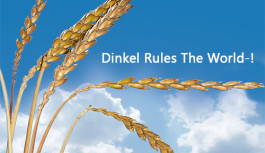 Dinkel Rules The World!