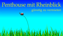 Penthouse mit Rheinblick