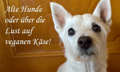 Alte Hunde oder über die Lust auf veganen Käse!