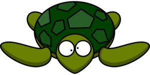 turtle-297662_640