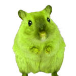 green-rat